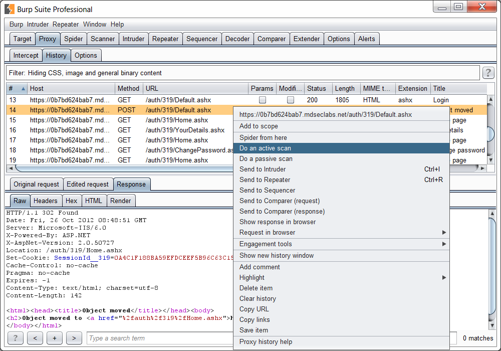 Burp Suite